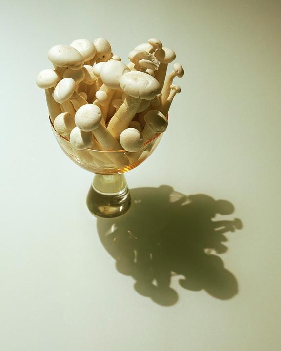 A glass goblet filled with white mushrooms casts a shadow on a light surface.