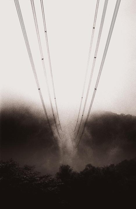 Power lines disappear into low clouds above a forest.