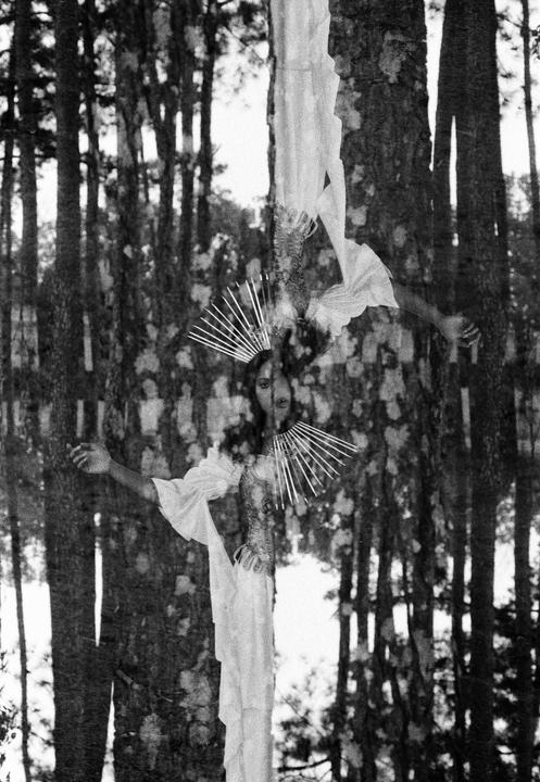 A woman with a fan is double exposed over a forest of tall trees.