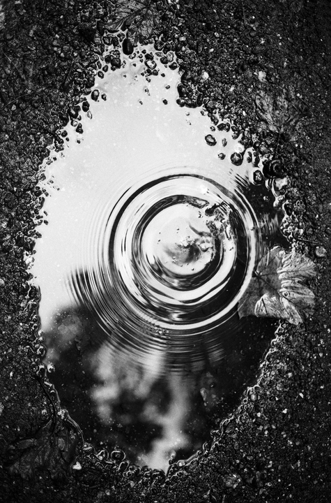 A puddle on asphalt shows ripples from a drop of water and reflects the sky.