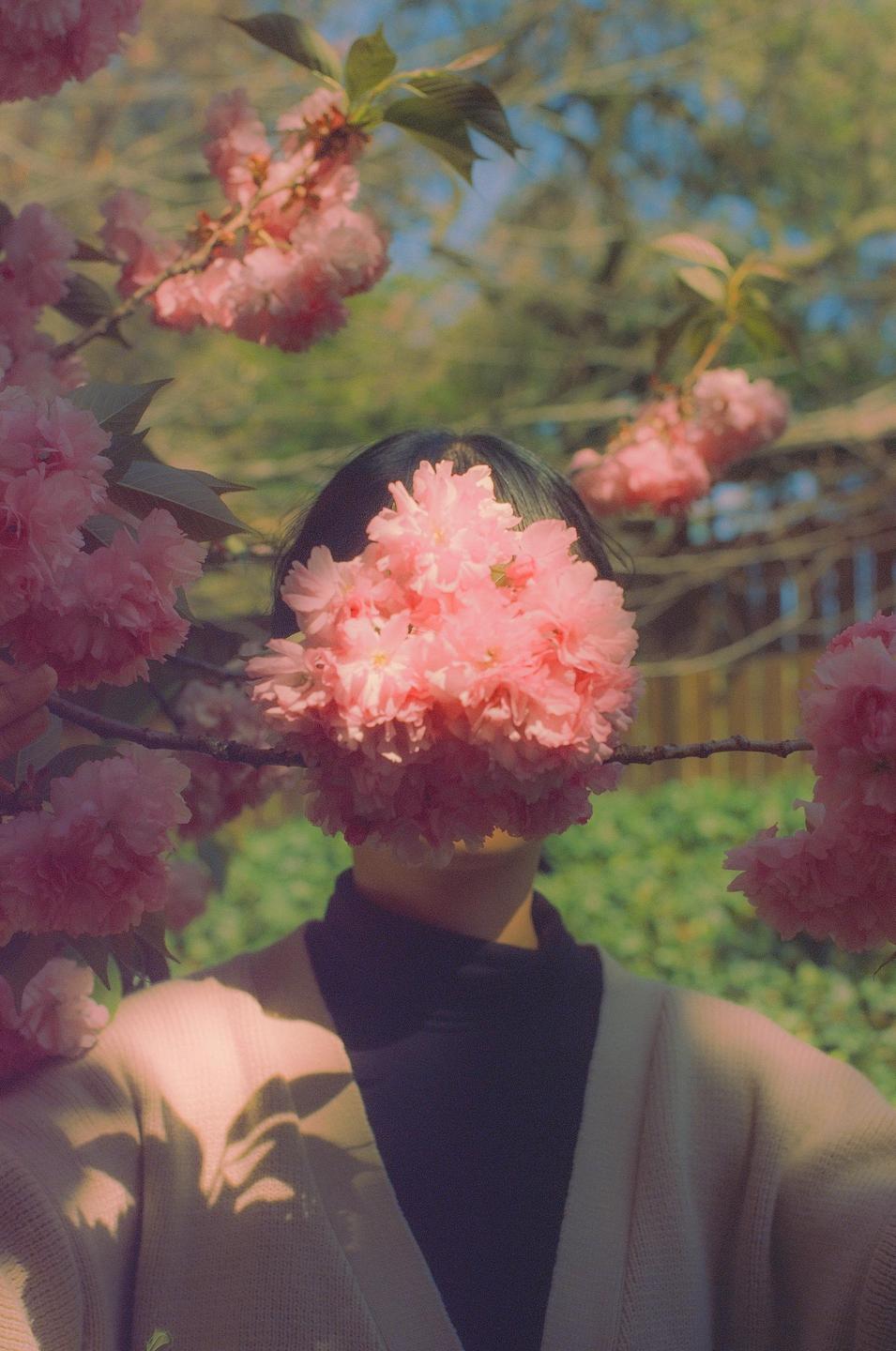 A person stands with their face obscured by a cluster of pink blossoms.