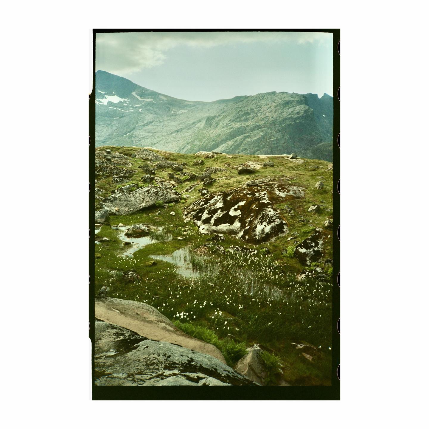 A rocky, mossy landscape with small pools of water and white flowers leads to a large mountain range under a cloudy sky.
