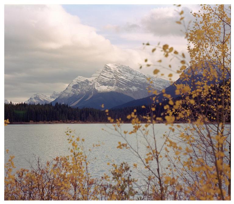 A lake is in the foreground with a forest and snow-capped mountains in the background under a cloudy sky.