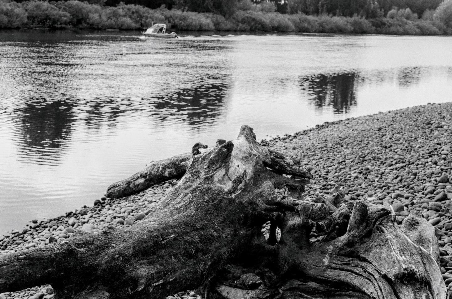 A large piece of driftwood rests on a rocky riverbank with a boat in the distance.