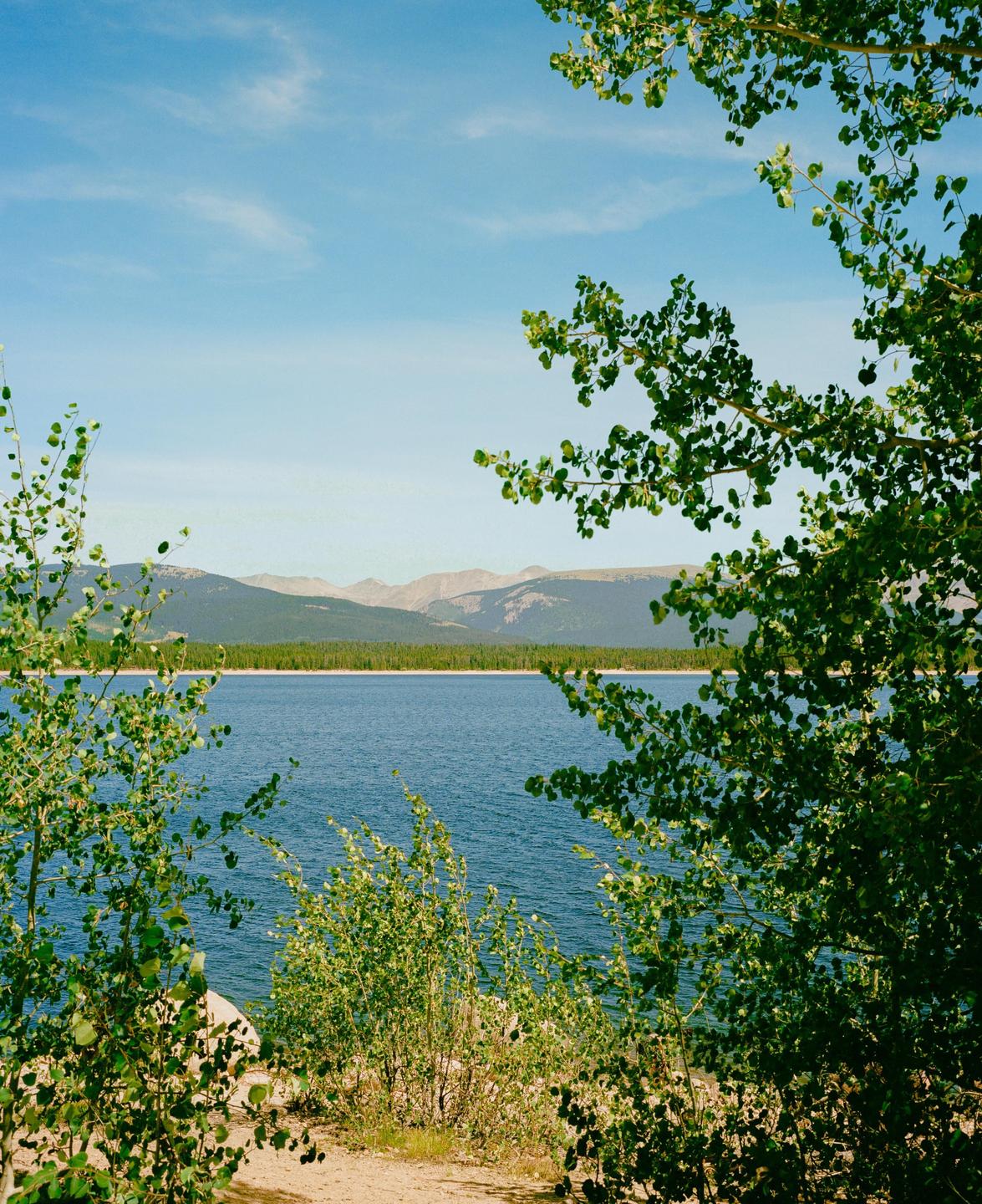A body of water is visible through the leaves of several trees, with mountains and a forest in the background.