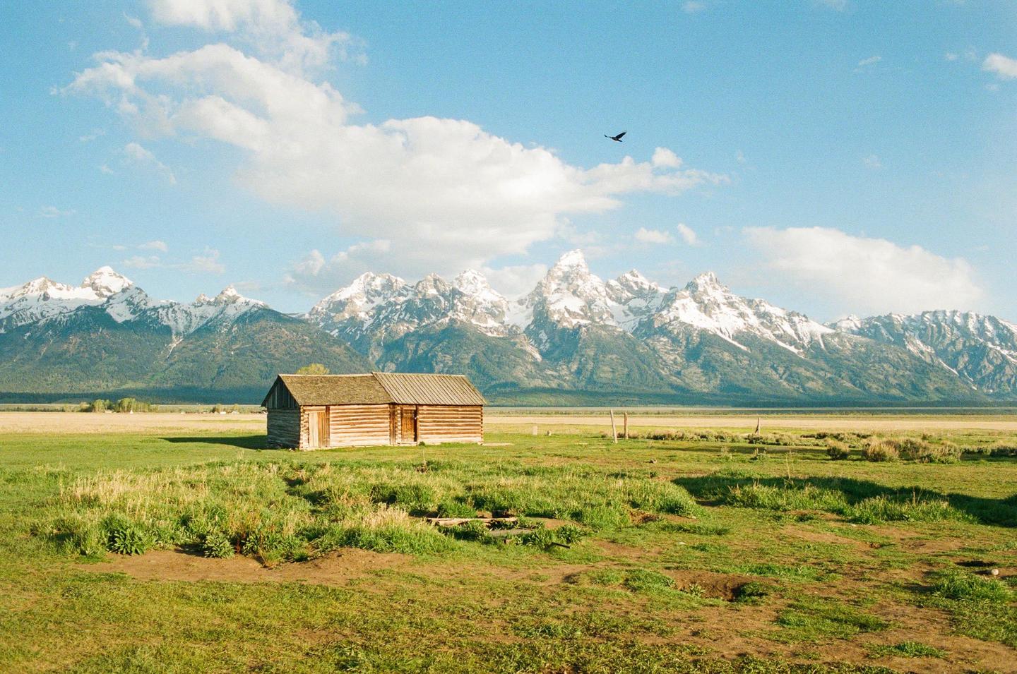 A wooden cabin sits in a grassy field with snow-capped mountains in the background under a blue sky with a bird flying overhead.
