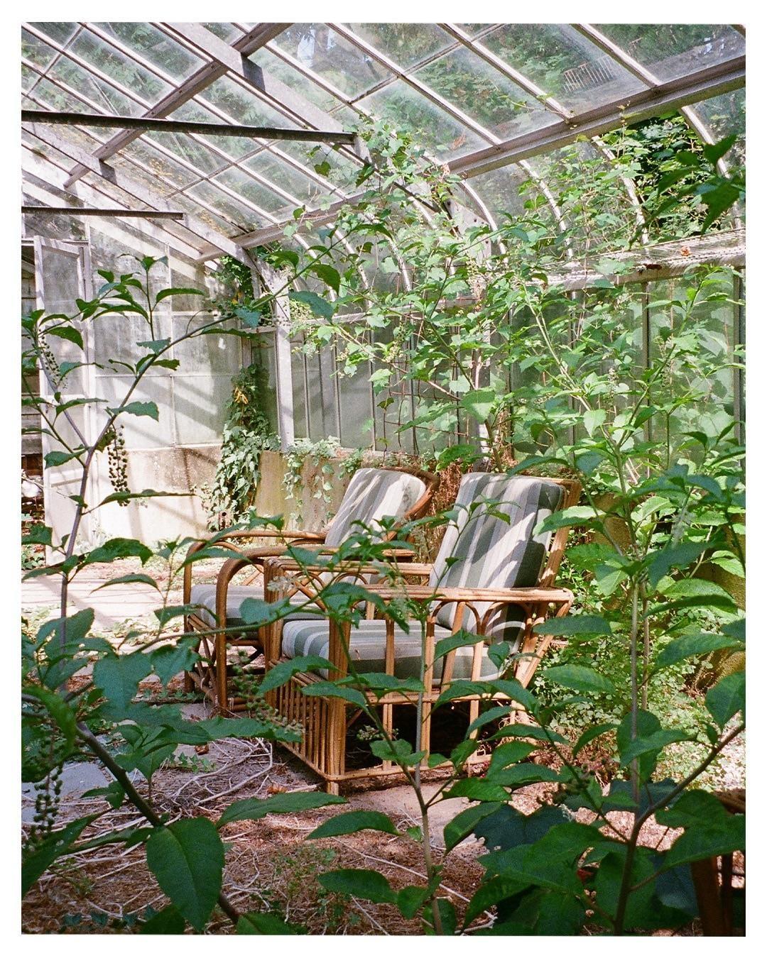 Two wicker chairs with striped cushions sit among lush green plants inside a greenhouse.