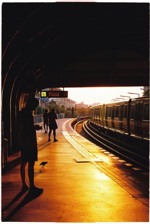 Three people and a bird wait on a train platform as a train approaches during golden hour.
