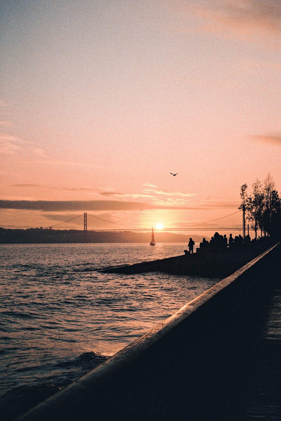 A sailboat passes in front of a bridge as the sun sets over a body of water with people gathered on the shore.