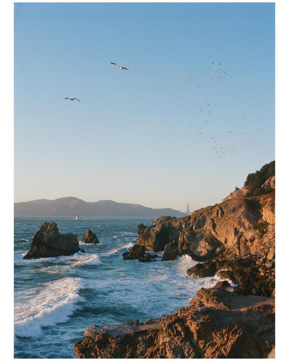 Two birds fly over a rocky coastline with waves crashing against the shore and a bridge in the distance.