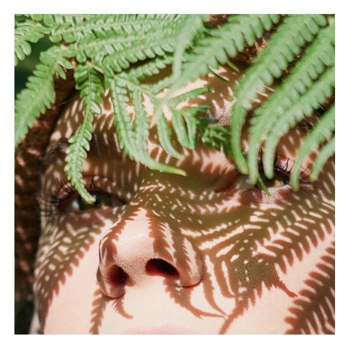 A person's face is covered in shadows from a fern leaf.