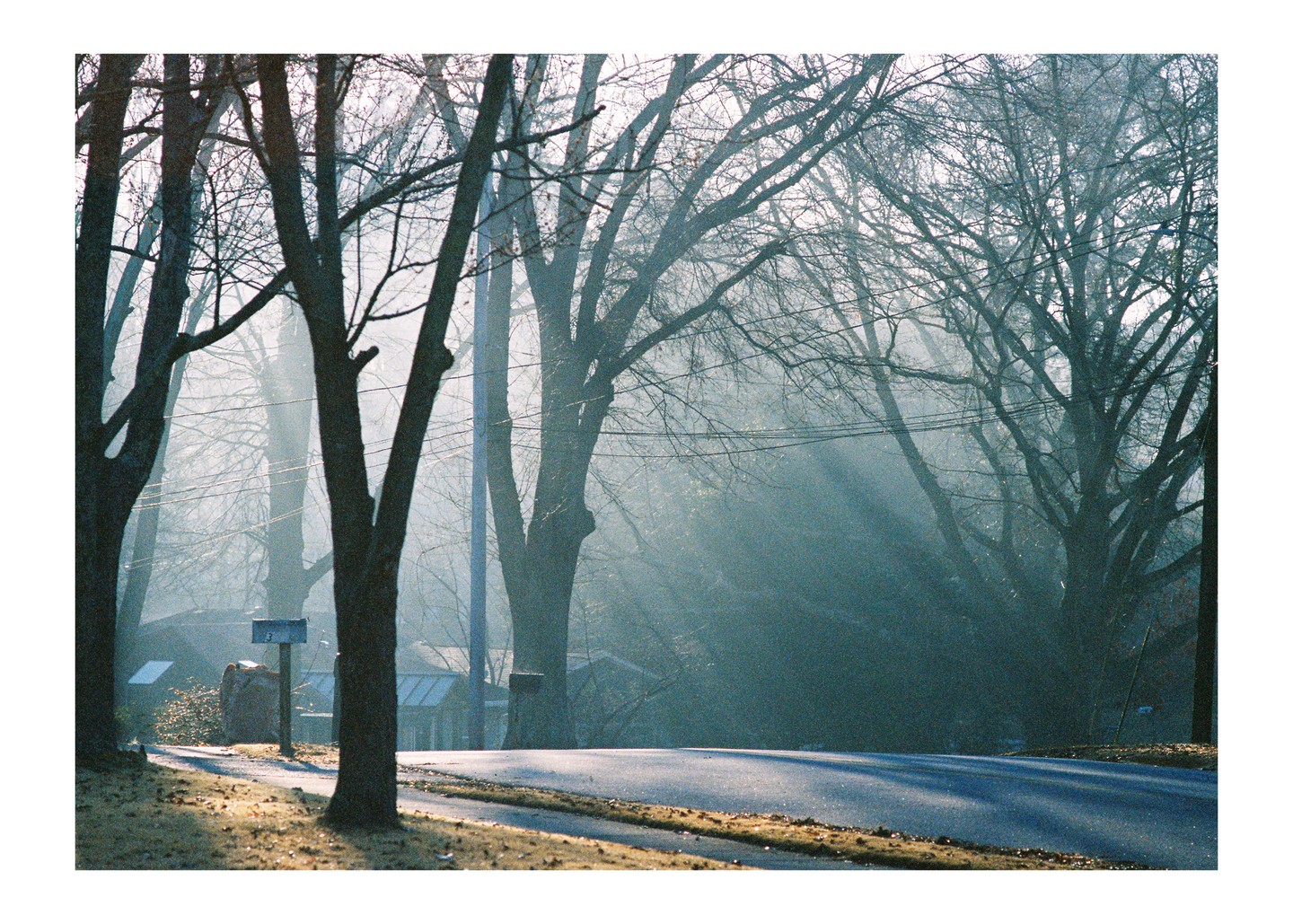Sunlight streams through bare trees onto a road and grassy verge with a mailbox.