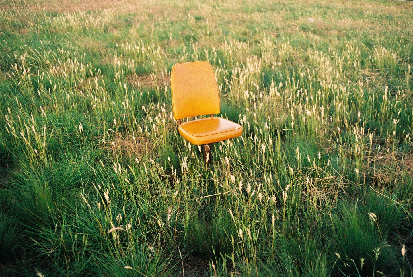 An orange office chair sits in a field of tall green grass with white seed heads.