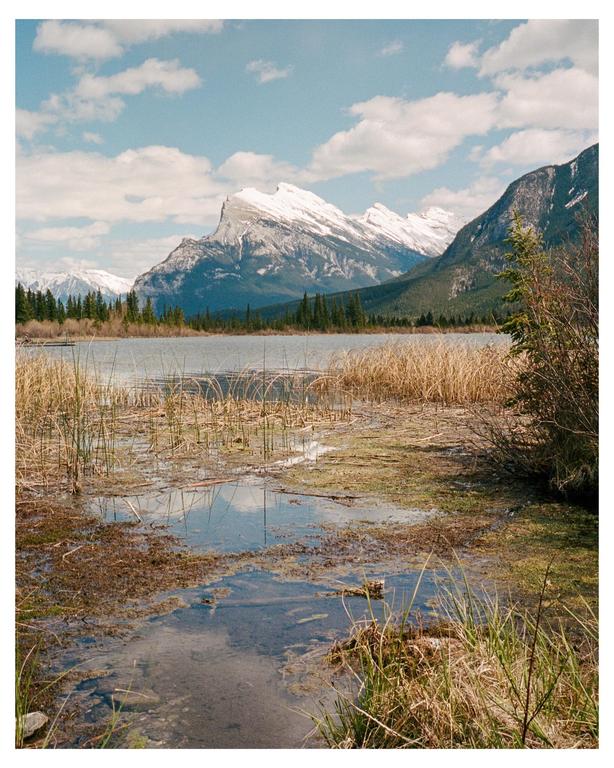 A lake with tall grass and reeds in the foreground reflects a cloudy sky and snow-capped mountains.