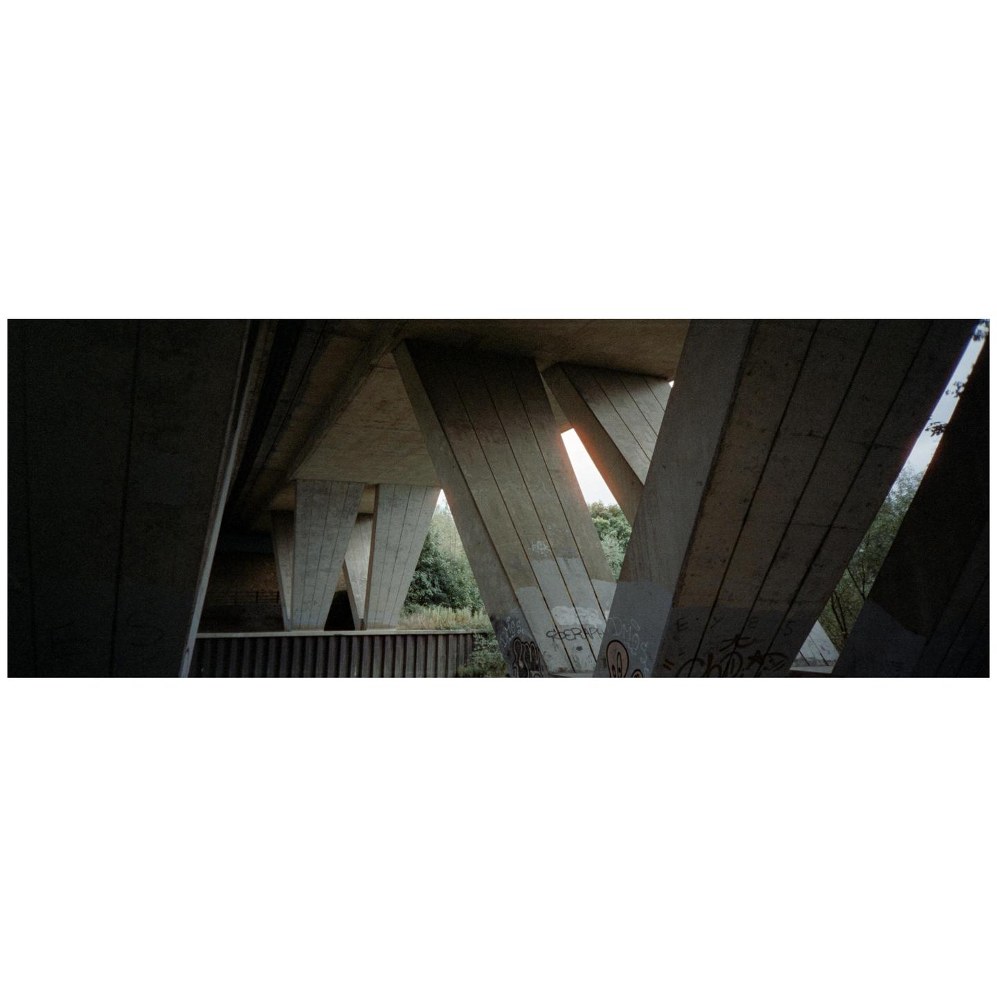 The concrete supports of a bridge are visible from below, with graffiti on some of the supports and trees in the background.