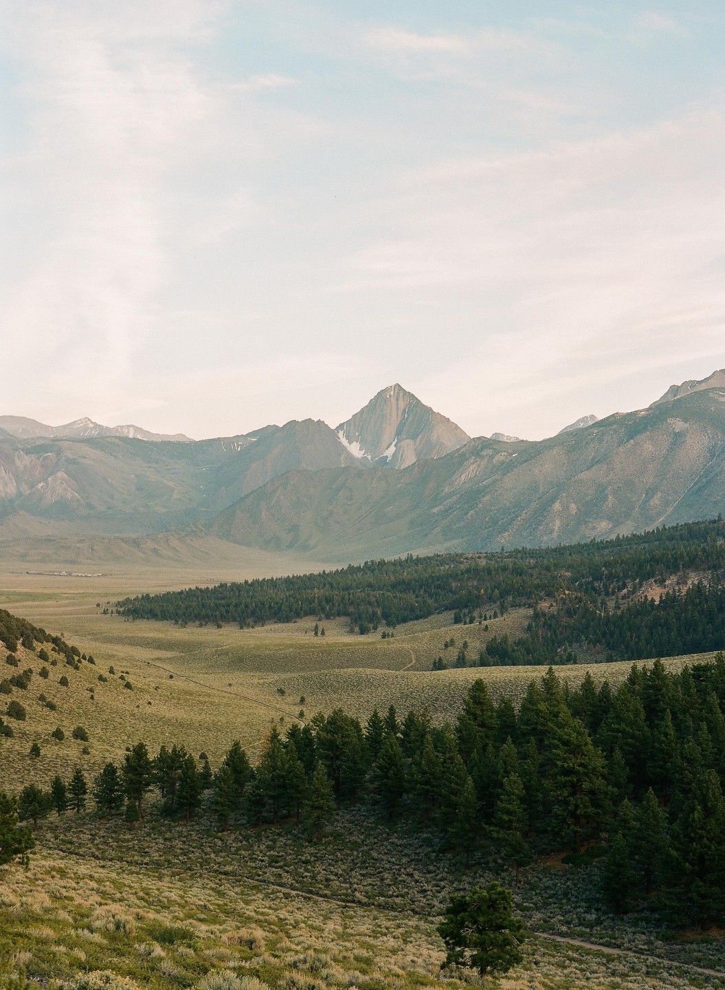 A vast landscape features a valley with scattered trees and a dense forest, leading up to a range of mountains with a prominent peak.