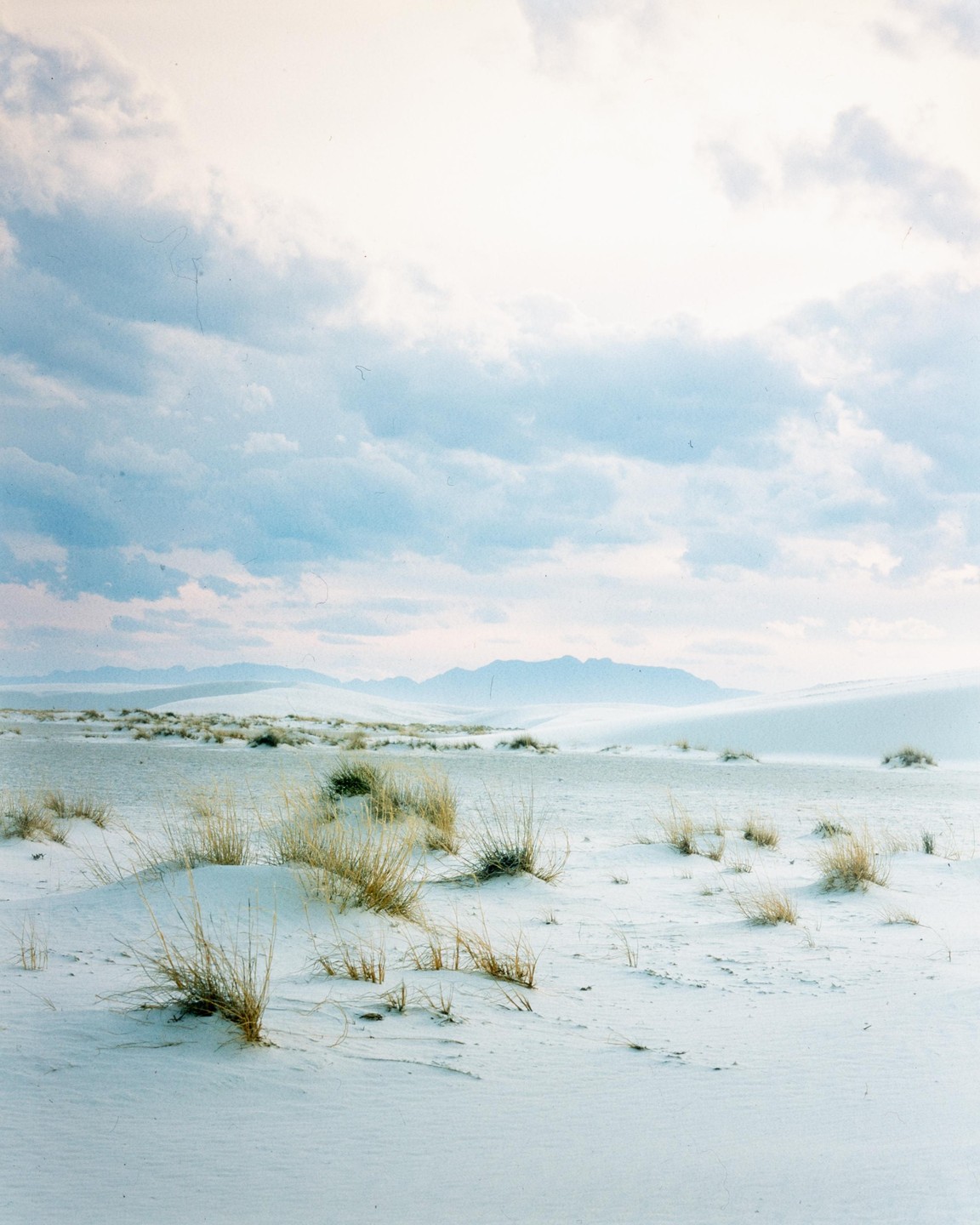 A landscape of white sand dunes with sparse vegetation under a cloudy sky.
