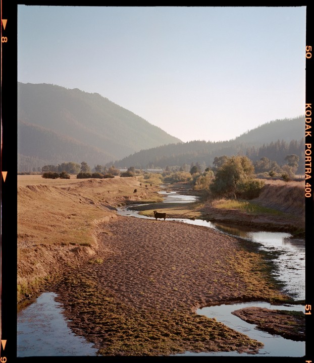 A river winds through a valley with mountains in the background and cows grazing on the banks.