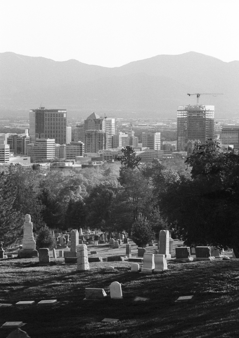 A cemetery with many gravestones is in the foreground, with a city skyline and mountains in the background.