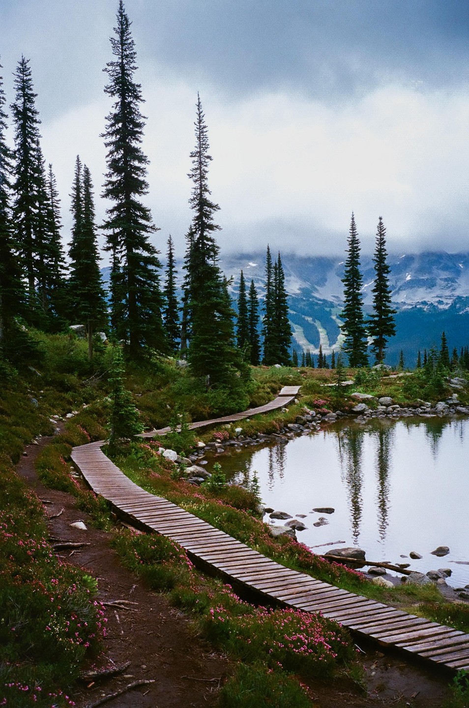 A wooden boardwalk winds around a calm lake surrounded by tall pine trees and mountains under a cloudy sky.