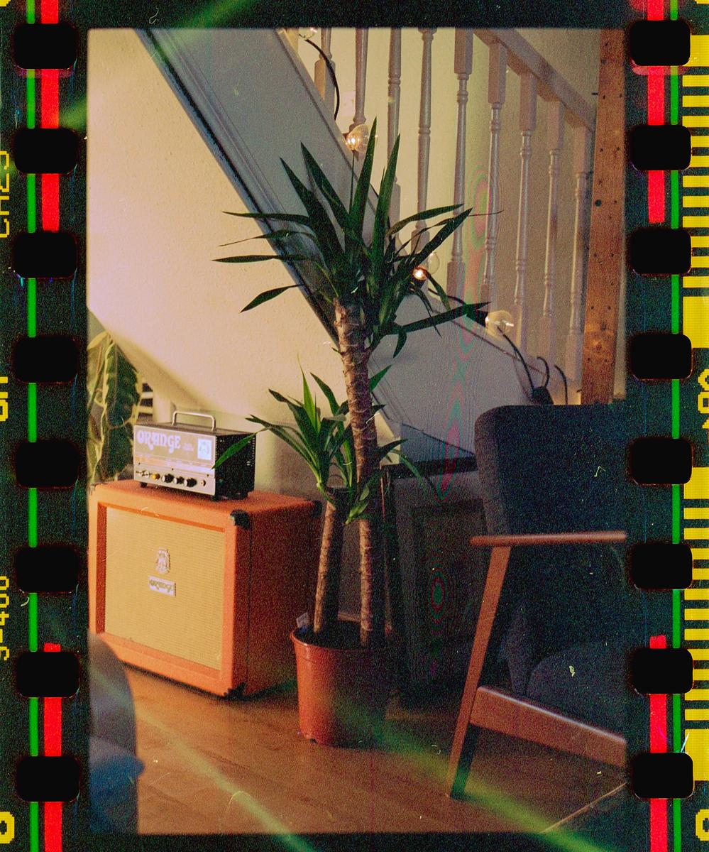 A potted plant stands next to a wooden staircase and an orange amplifier.