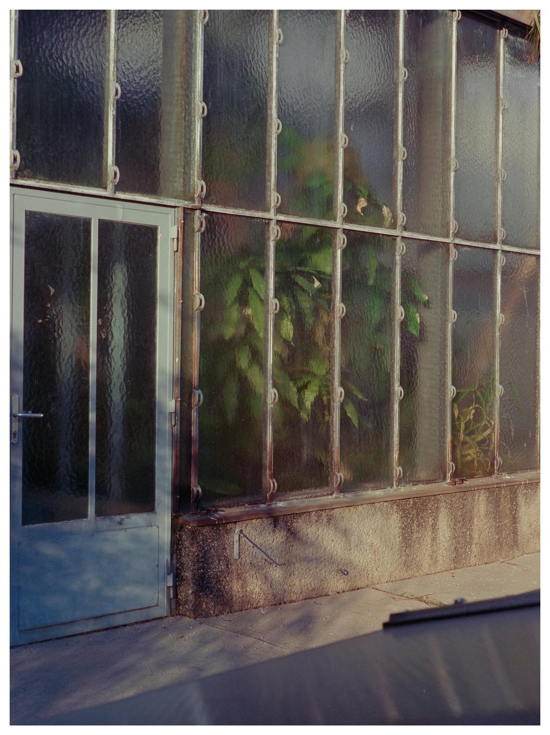 A glass greenhouse with a light blue door shows plants inside and shadows on the ground outside.