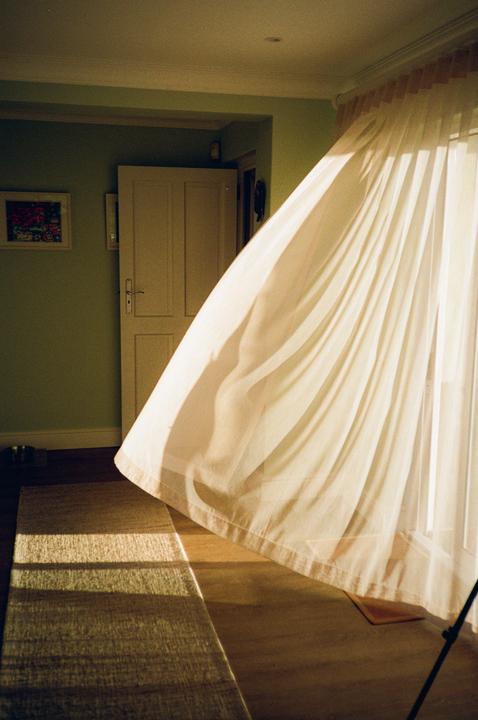 A sheer white curtain billows inward from a window, with sunlight casting shadows on the floor and a rug.