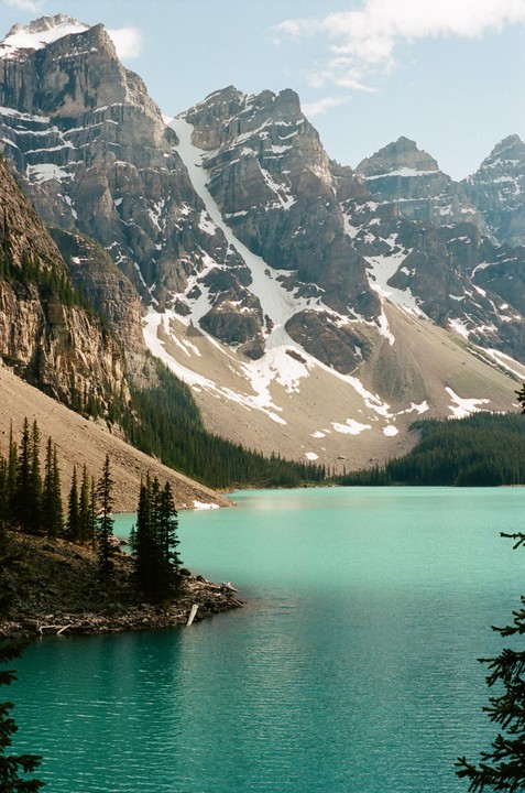 A turquoise lake is surrounded by snow-capped mountains and a pine forest.