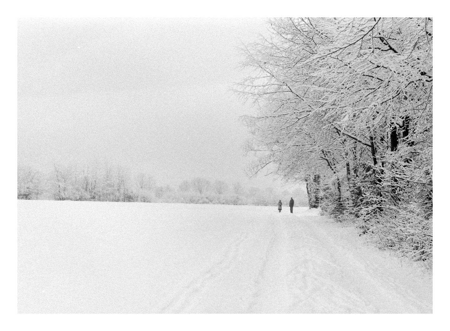 Two people walk along a snow-covered path next to a line of snow-laden trees.
