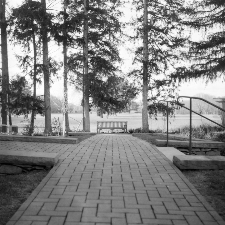 A brick path leads to a wooden bench surrounded by tall trees and a grassy field.