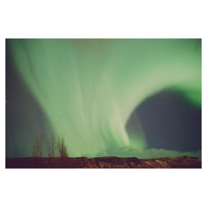 The aurora borealis glows green above a dark landscape with a few bare trees.