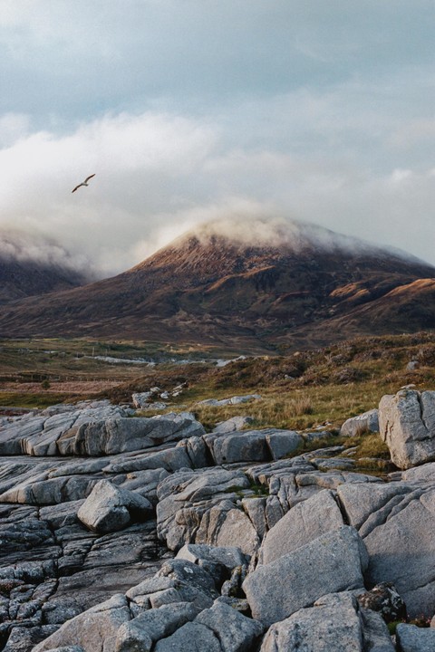 A bird flies over a rocky landscape with a cloud-covered mountain in the background.