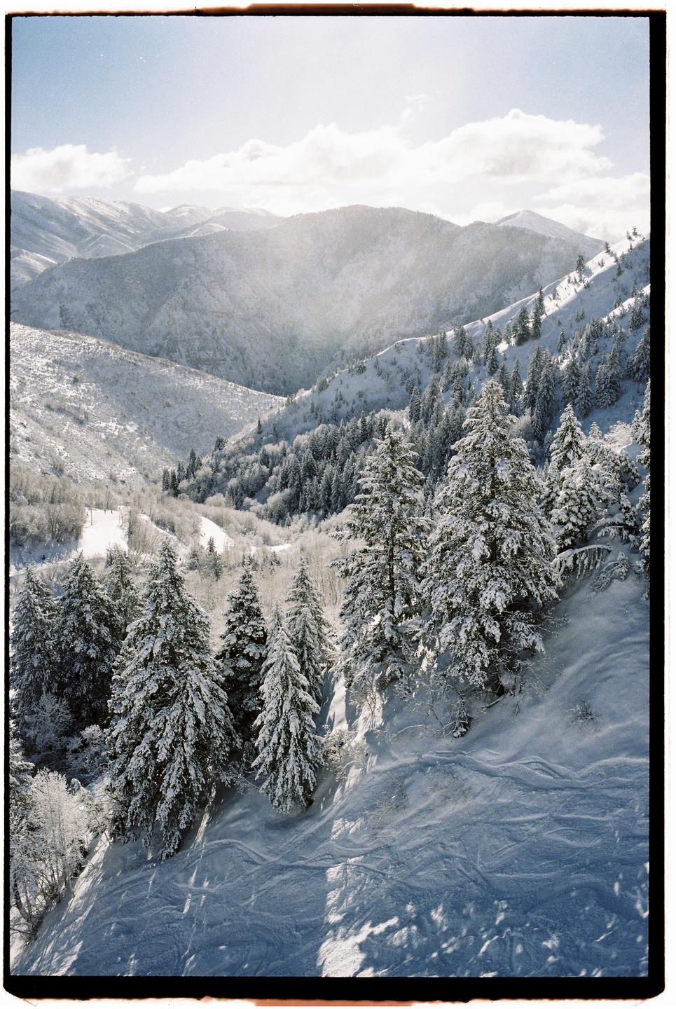 A snowy mountain landscape features evergreen trees and ski tracks on a bright winter day.