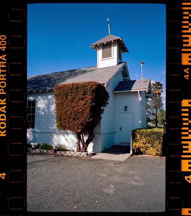 A white church with a steeple and cross stands next to a large, square-trimmed bush under a clear blue sky.