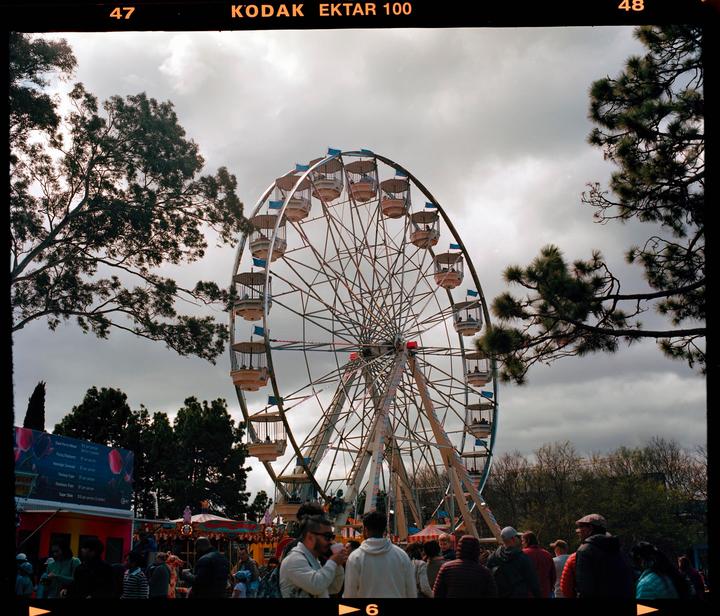 A large Ferris wheel stands tall against a cloudy sky, surrounded by trees and a crowd of people at what appears to be a fairground.