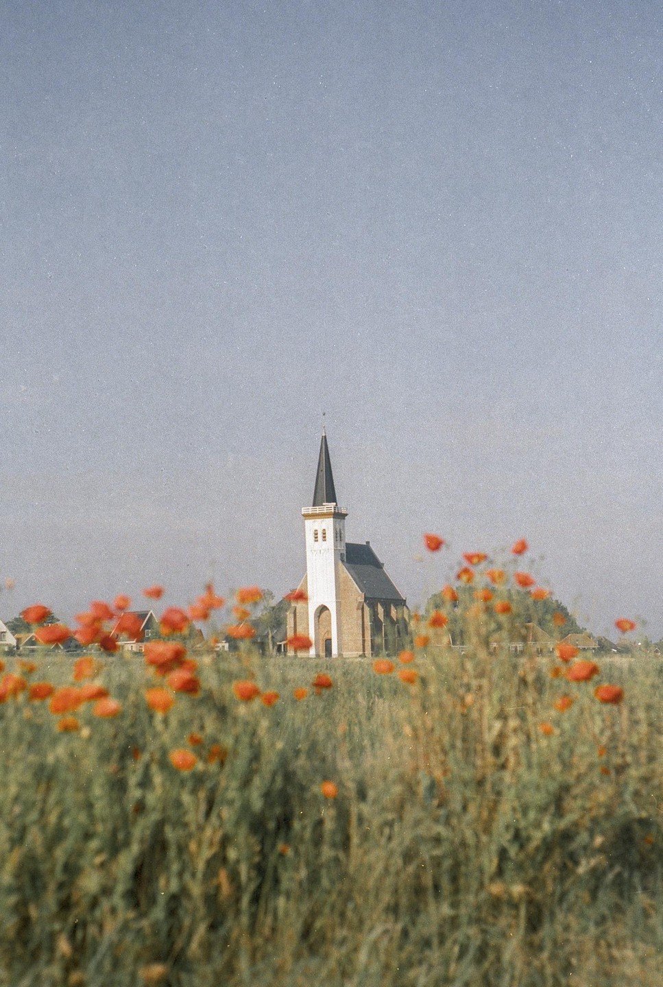 A church with a tall steeple stands in a field of red poppies under a clear sky.