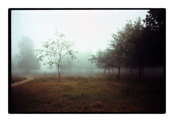 A winding path leads through a foggy field with trees.