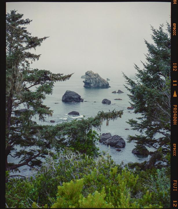 A body of water with several large rocks is framed by two trees and bushes.