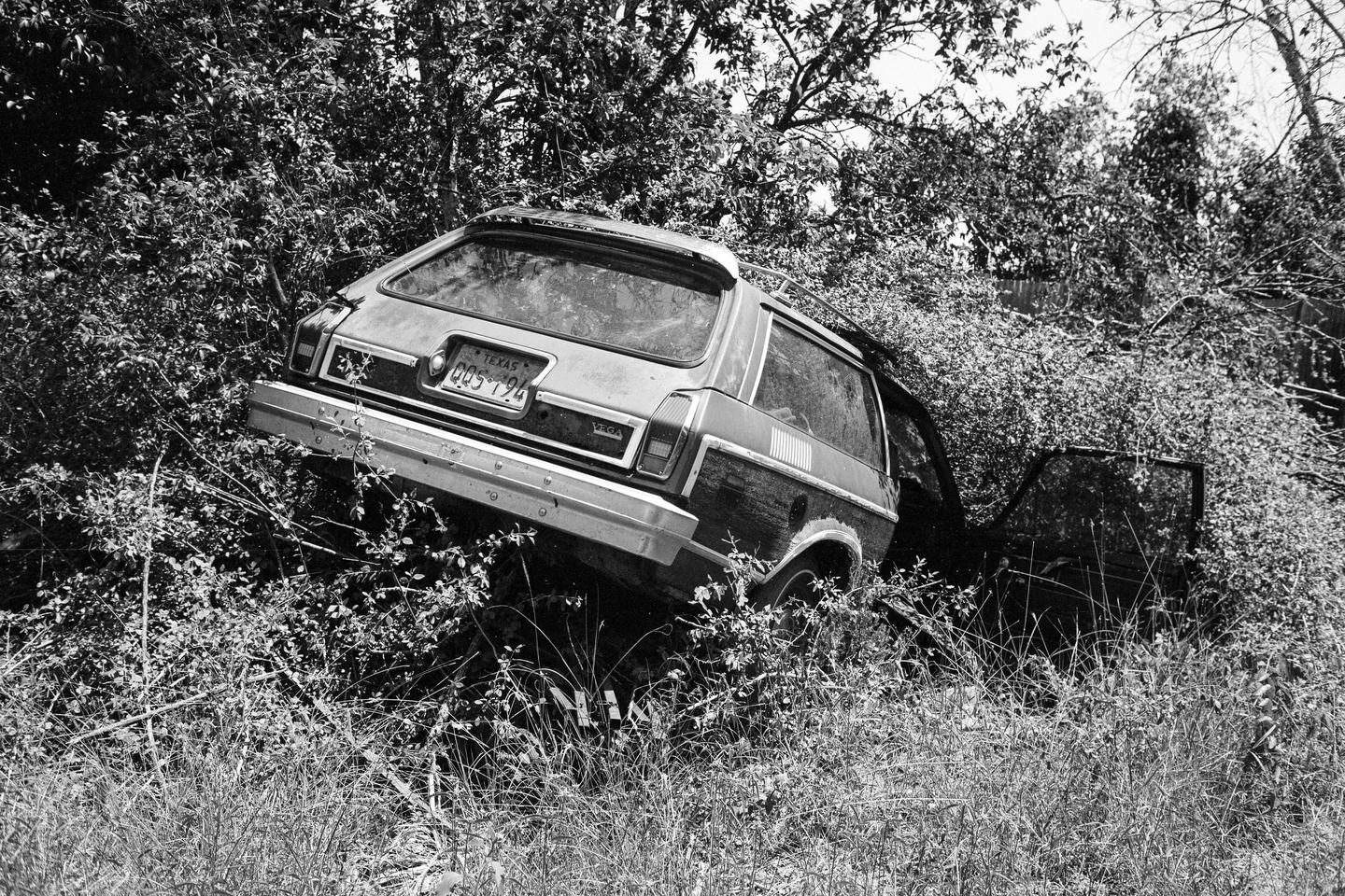 A black and white photograph shows the rear of an abandoned station wagon overgrown with vegetation.