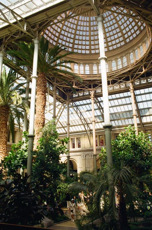 A large glass-domed conservatory is filled with lush green plants and palm trees, with people walking on a path below.