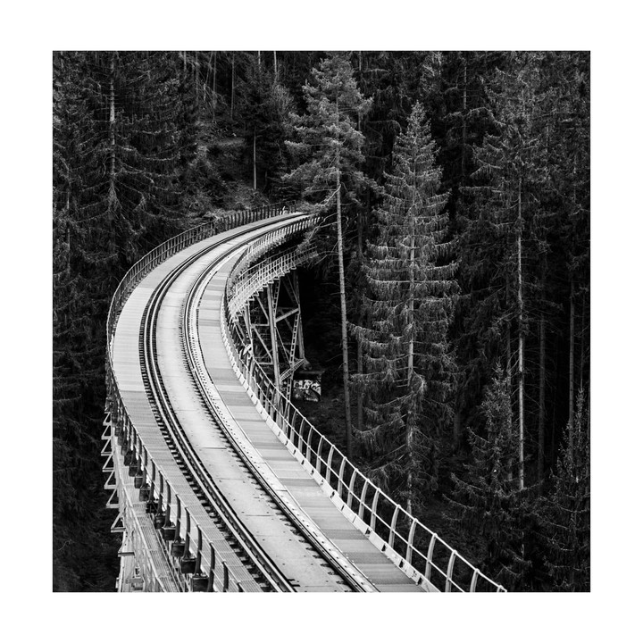 A curved railway bridge spans a dense forest of tall pine trees.