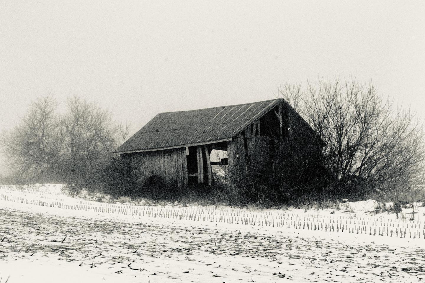 An old wooden barn stands in a snowy field surrounded by bare trees on a hazy day.