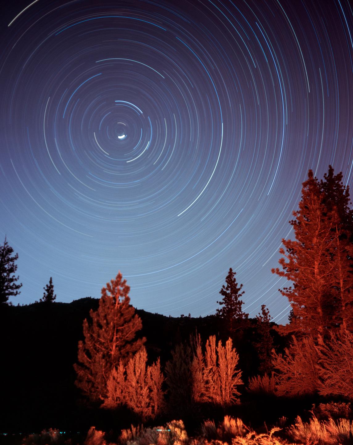 Star trails arc across the night sky above a forest with trees and bushes illuminated by a red light.