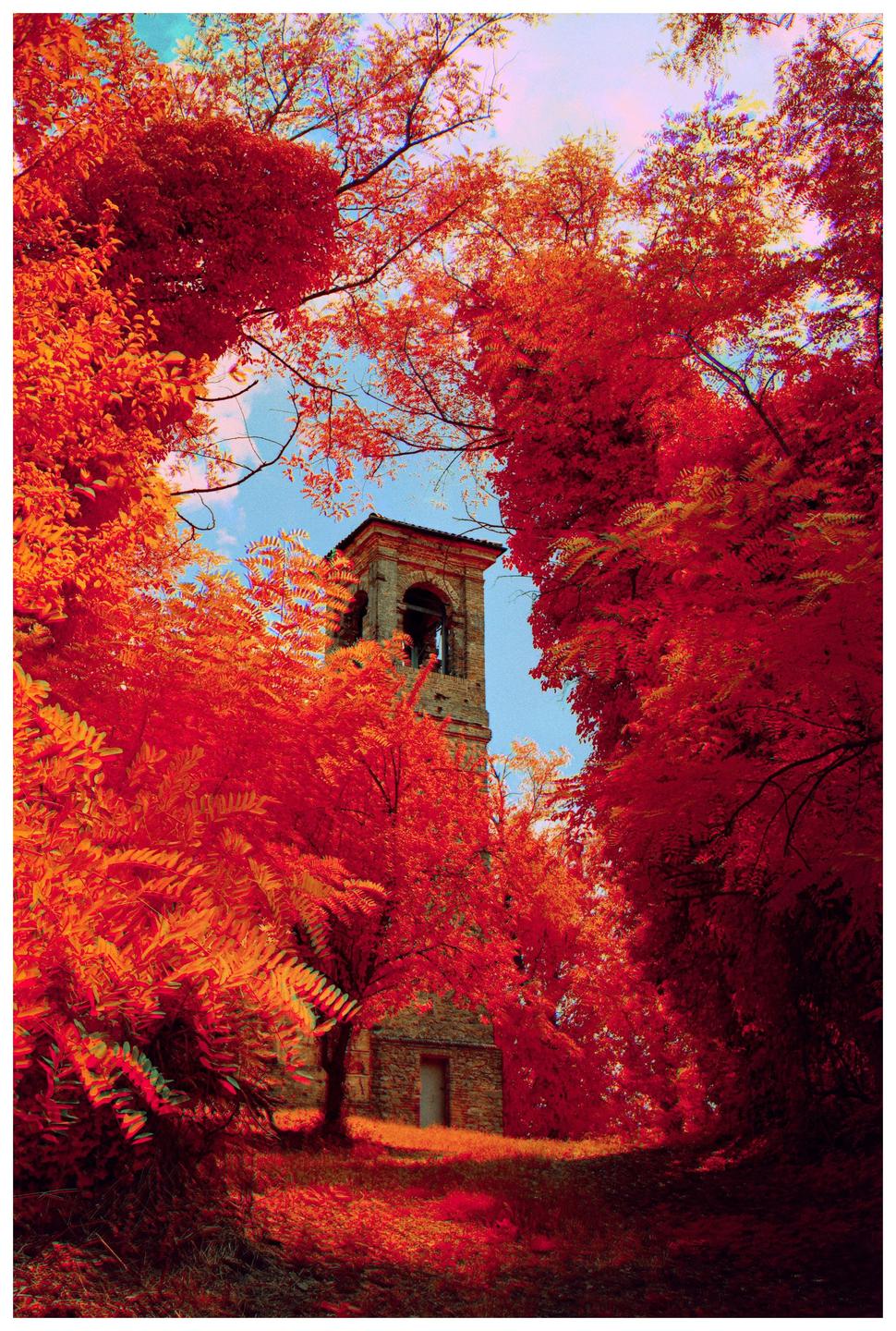 A stone bell tower is surrounded by vibrant red and orange foliage under a bright blue sky.