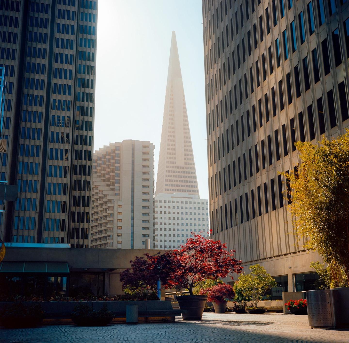 A tall, pointed skyscraper rises above other buildings in a city square with trees and planters.