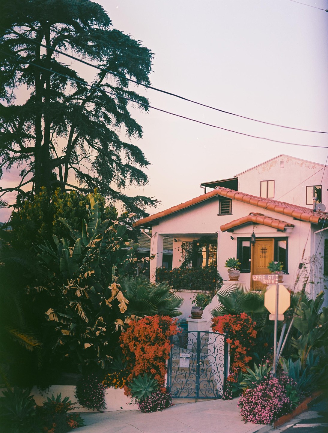 A house with a red tile roof and lush landscaping is visible at dusk.
