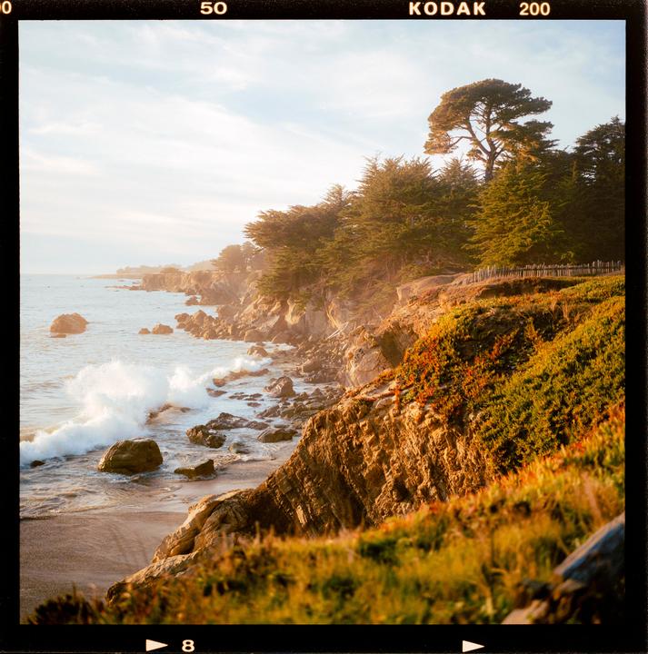 Waves crash against a rocky coastline with pine trees and vegetation on the cliffs.