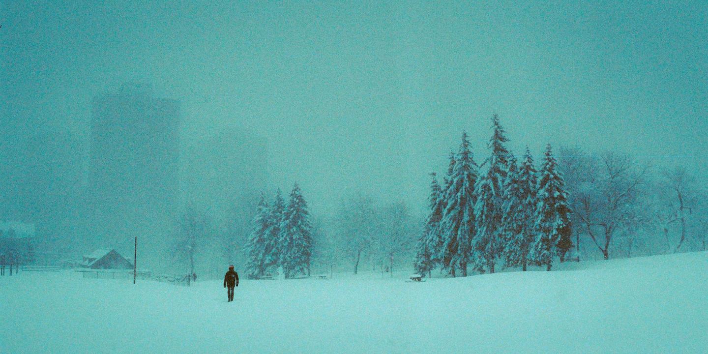 A person walks through a snow-covered field towards a cluster of pine trees, with a building visible in the hazy distance.