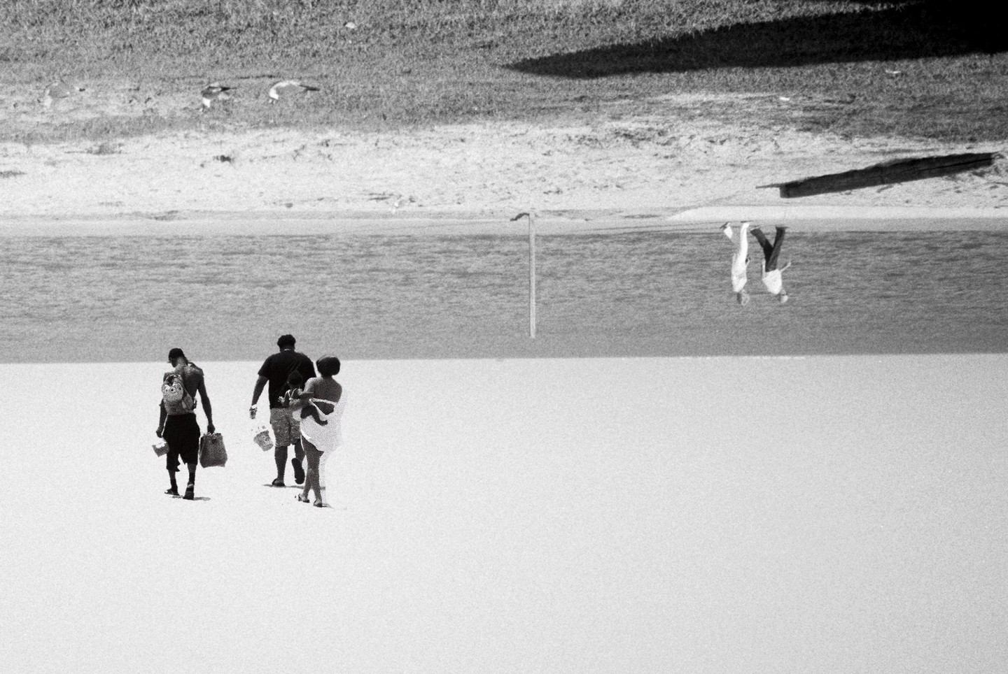 Three people walk away from the viewer on a bright beach toward the water, with two birds flying above the water and two people upside down in the distance.