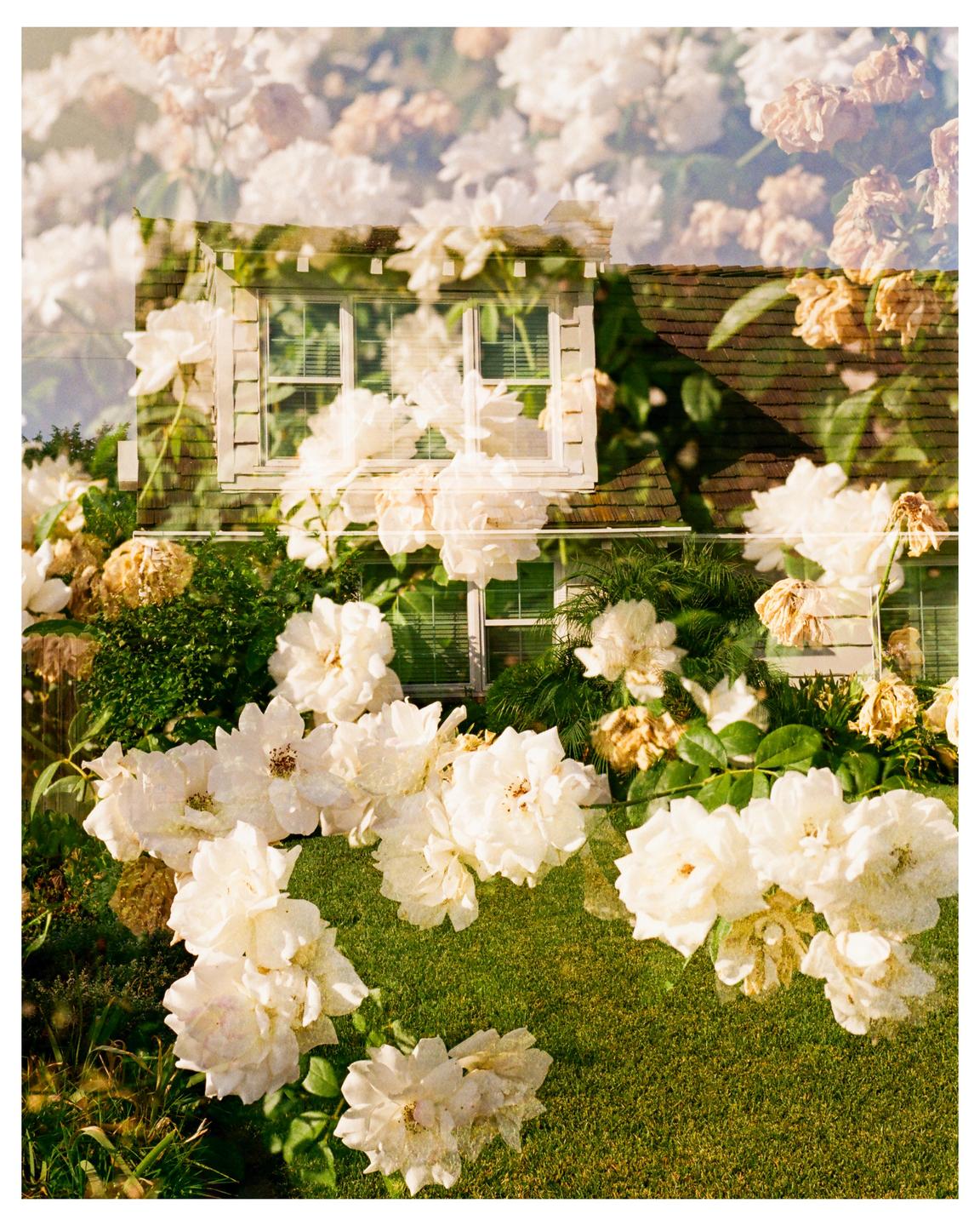 A double exposure shows a house with white siding and a brown roof, with white roses and green foliage superimposed over it.